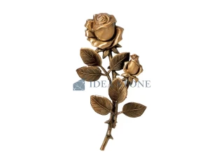 Ветвь розы ЦБ-Р2936918