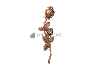 Роза ЦБ-Р2954121