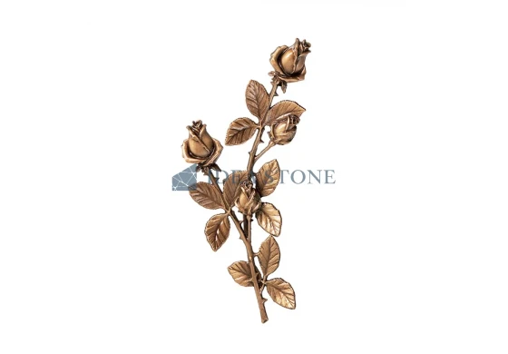 Роза изогнутая ЦБ-Р2911235