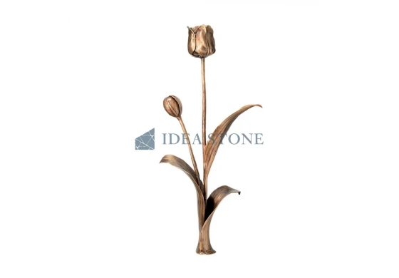 Тюльпан ЦБ-Т2969551